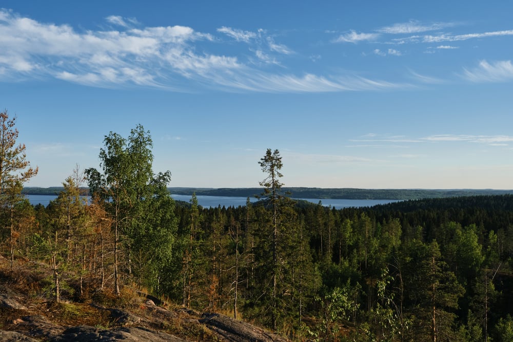 Круиз Санкт-Петербург – Санкт-Петербург