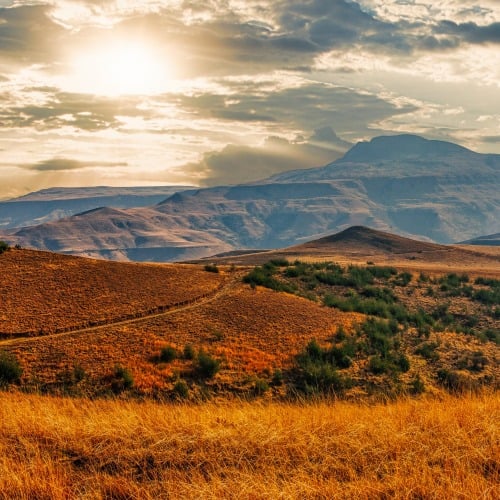 Круизы по Африке