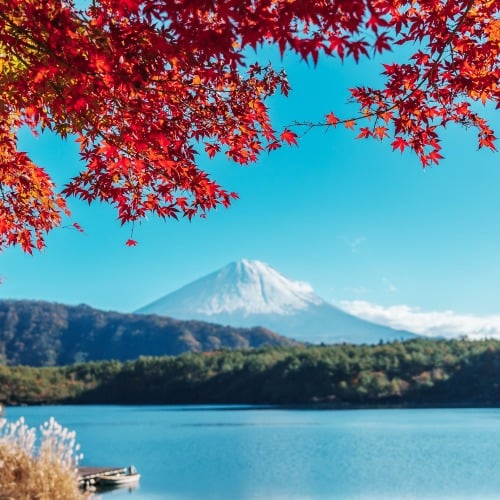 Круизы по Азии