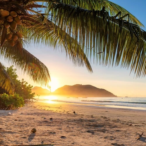 Трансатлантические круизы