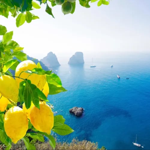 Морские круизы в марте 2026