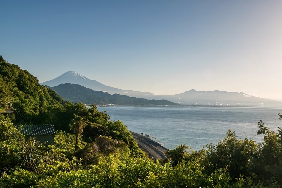 Круиз Иокогама (Япония) – Лос-Анджелес (США)